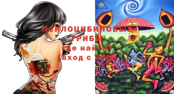 мдпв Яранск