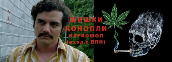 ПСИЛОЦИБИНОВЫЕ ГРИБЫ Саяногорск
