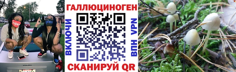 Галлюциногенные грибы ЛСД  Сосновый Бор 