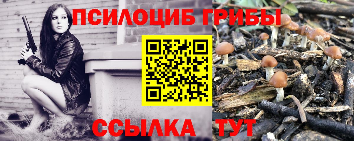 Псилоцибиновые грибы ЛСД  Сосновый Бор  Псилоцибиновые грибы Magic Shrooms 