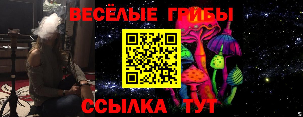 Псилоцибиновые грибы Magic Shrooms  Вход с VPN  Псилоцибиновые грибы Psilocybine cubensis  Сосновый Бор 