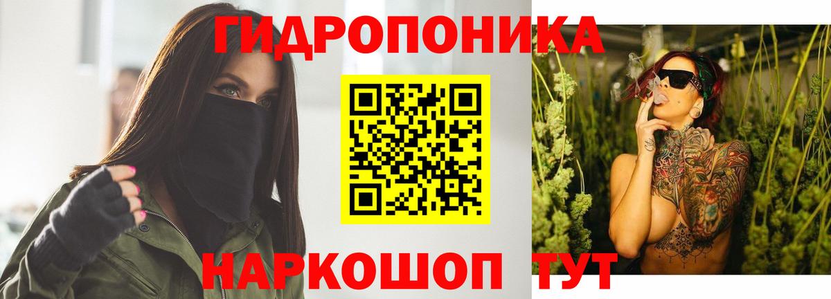 Конопля сатива Сосновый Бор